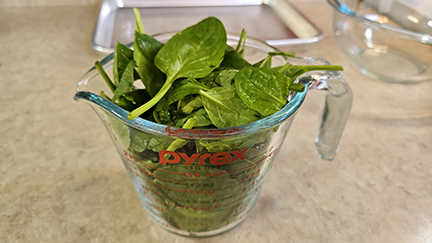 This is a photo of the 2 cups of spinach that I used in my recipe: Spinach Pesto