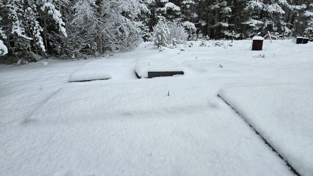 Image of snowy raised beds