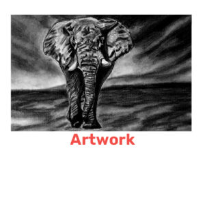 photo of charcoal drawn elephant