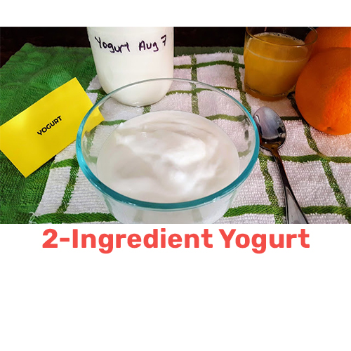 photo of 2-ingredient yogurt