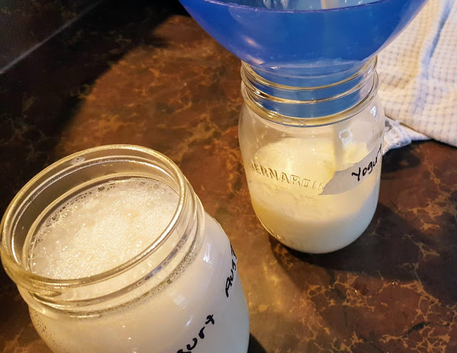 photo of pouring yogurt into jars