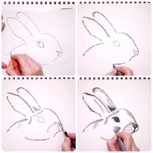 How To Draw A Rabbit