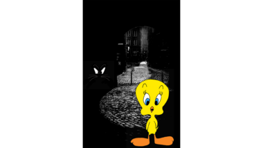 tweety bird sylvester the cat corners